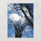 Carte postale Castine - 2 (Devant)