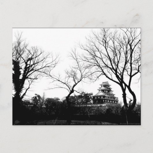 Carte postale "Castle In Hiroshima" JTG Art (Devant)