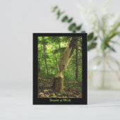 Carte Postale Castor au travail (Debout devant)