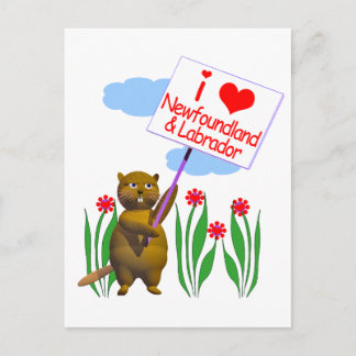 Carte Postale Castor Canadien Aime Terre-Neuve-et-Labrador