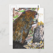 Carte Postale Castor occupé (Devant / Derrière)