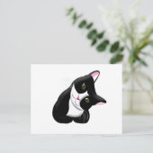 Carte Postale Cat (Debout devant)