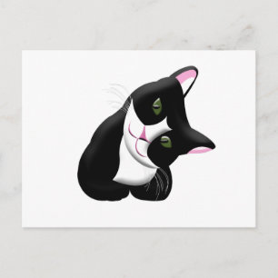 Carte Postale Cat