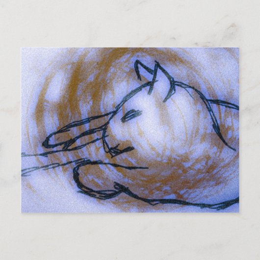 Carte Postale Cat (Devant)