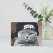 CARTE POSTALE CAT (Debout devant)