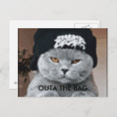 CARTE POSTALE CAT (Devant / Derrière)