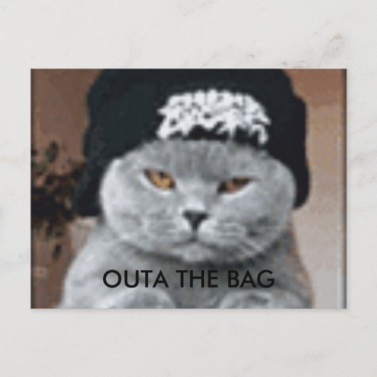 CARTE POSTALE CAT (Devant)