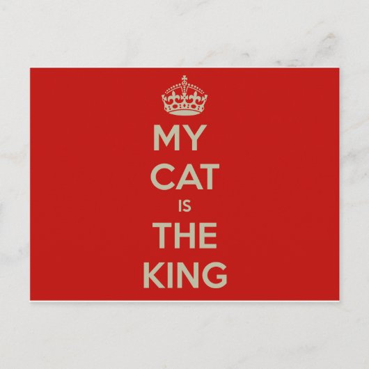 Carte Postale Cat (Devant)