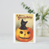 Carte Postale Cat (Debout devant)