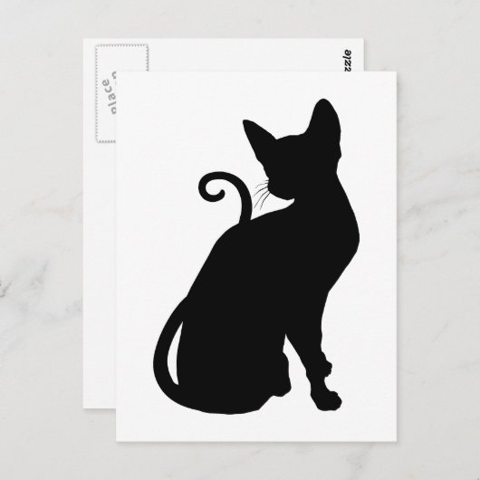 Carte Postale Cat (Devant / Derrière)