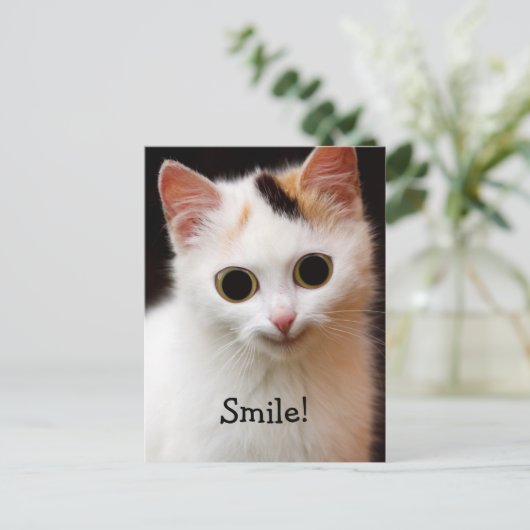 Carte Postale Cat (Debout devant)