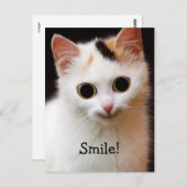 Carte Postale Cat (Devant / Derrière)