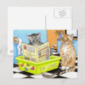 carte postale cat 464 (Devant / Derrière)
