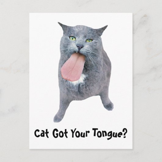 Carte Postale Cat A Te Langue ? (Devant)
