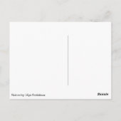 Carte Postale Cat and birds (Dos)