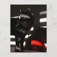 Cat and Red Cup Art Photographie comme une prise d