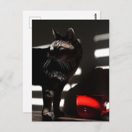 Carte Postale Cat and Red Cup Art Photographie comme une prise d (Devant / Derrière)