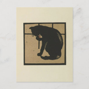 Carte Postale Cat - Animaux Carrés Illustration