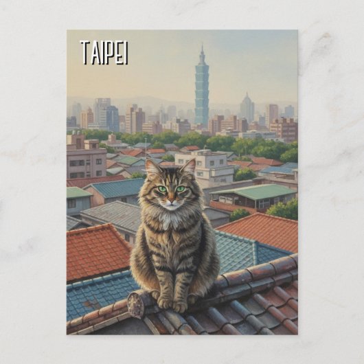 Carte Postale Cat at Taipei 101 Taiwan (Devant)
