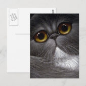 Carte postale CAT BICOLOR PERSIAN (Devant / Derrière)