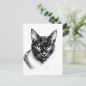 Carte Postale Cat Charcoal (Debout devant)