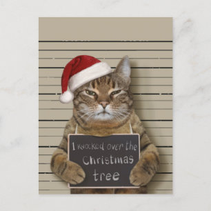 Carte Postale Cat Christmas
