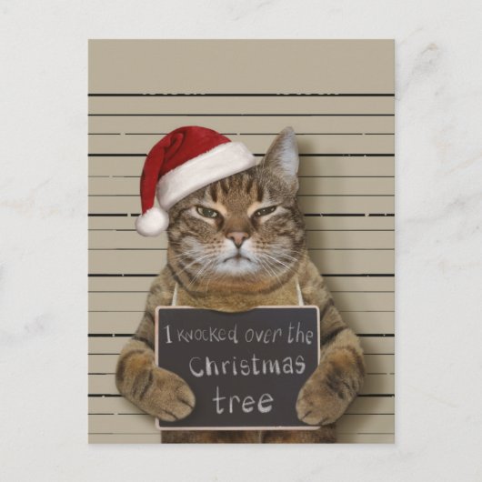 Carte Postale Cat Christmas (Devant)