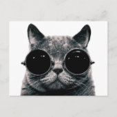 Carte Postale CAT cool. (Devant)