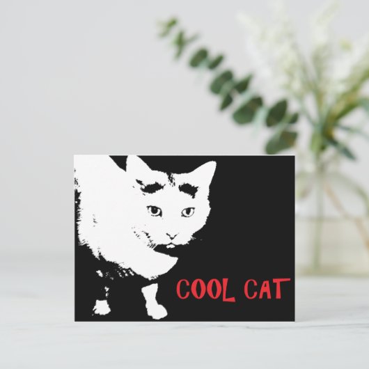 CARTE POSTALE CAT cool (Debout devant)