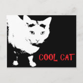 CARTE POSTALE CAT cool (Devant)