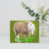 Carte Postale Cat Creek Cowboy PC (Debout devant)