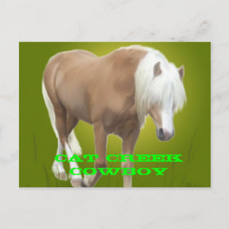 Carte Postale Cat Creek Cowboy PC