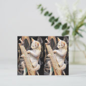 Carte Postale Cat Crescendo – Surrealist Art Postcard (Debout devant)