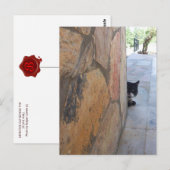 Carte Postale CAT de DÉTECTIVE DERRIÈRE le MUR EN PIERRE/fête (Devant / Derrière)