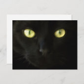 Carte postale Cat Eyes (Devant / Derrière)