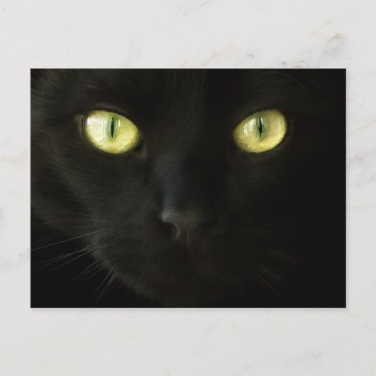 Carte postale Cat Eyes (Devant)