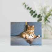 Carte Postale Cat Gamer (Debout devant)