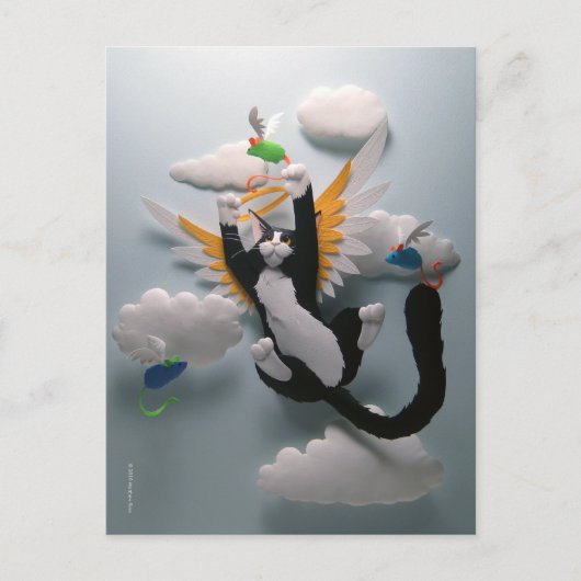 Carte postale Cat Heaven (Devant)