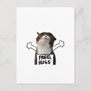 Carte Postale Cat holding Free Hugs Sign