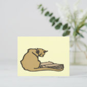 Carte postale Cat intelligente (Debout devant)