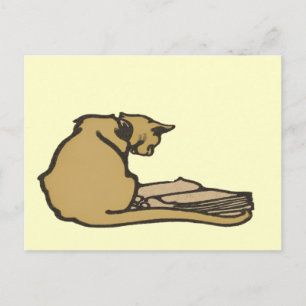 Carte postale Cat intelligente