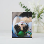 Carte Postale Cat is lying (Debout devant)