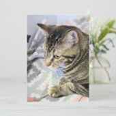 Carte postale Cat Jigsaw Puzzle (Debout devant)
