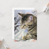 Carte postale Cat Jigsaw Puzzle (Devant/Arrière en situation)
