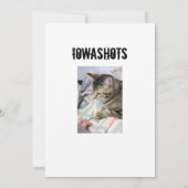 Carte postale Cat Jigsaw Puzzle (Dos)