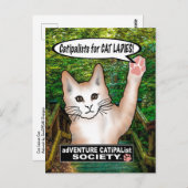 Carte postale Cat Ladies Cat (Devant / Derrière)