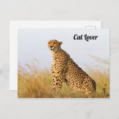 Carte Postale Cat lover cheetah photo (Devant / Derrière)