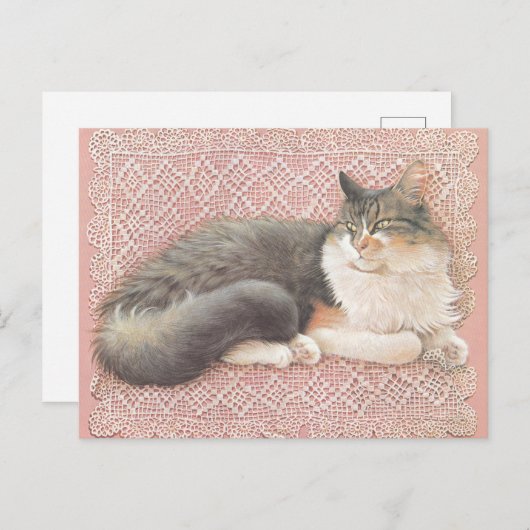 CARTE POSTALE CAT PAINTED POSTCARD (Devant / Derrière)
