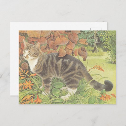 CARTE POSTALE CAT PAINTED POSTCARD (Devant / Derrière)