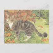 CARTE POSTALE CAT PAINTED POSTCARD (Devant)